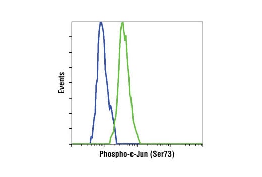 undefined Image 15: PhosphoPlus<sup>®</sup> c-Jun (Ser73) Antibody Duet