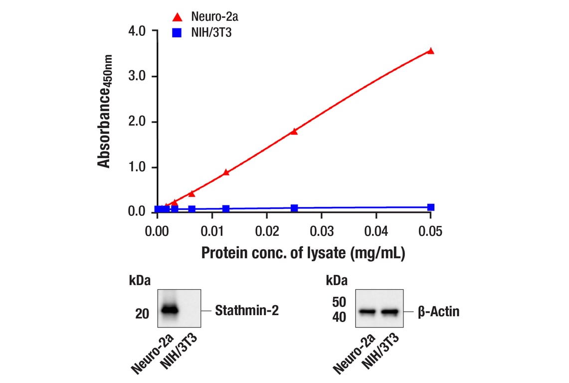 ELISA Image 1: PathScan<sup>®</sup> RP Stathmin-2 Sandwich ELISA Kit