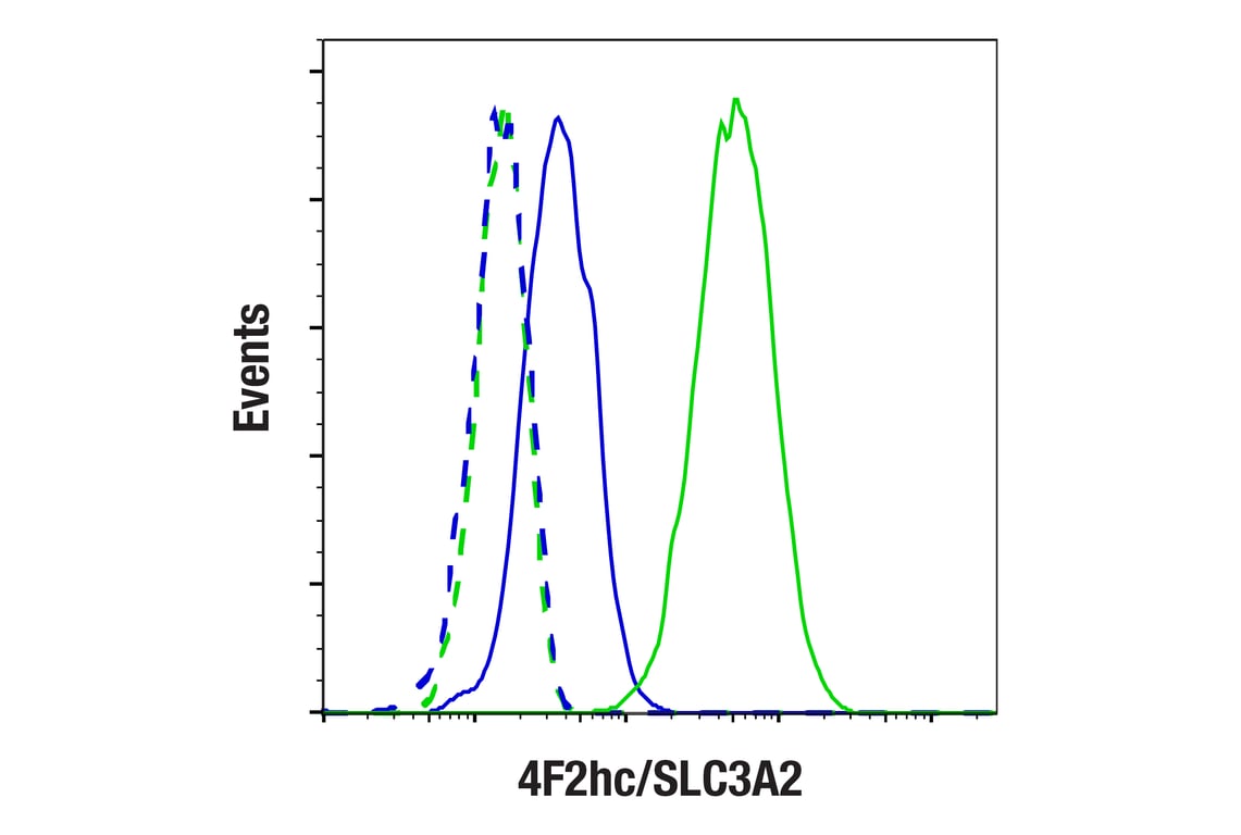 Flow Cytometry Image 1: 4F2hc/SLC3A2 (D3F9D) XP<sup>®</sup> Rabbit mAb (BSA and Azide Free)