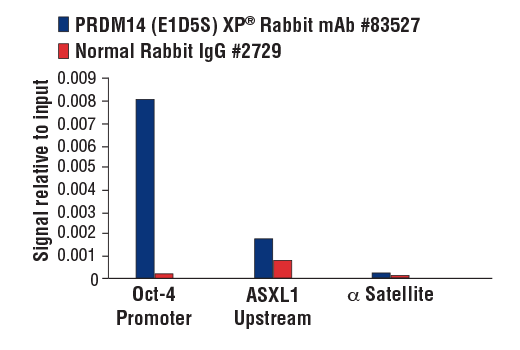 Chromatin Immunoprecipitation Image 3: PRDM14 (E1D5S) XP<sup>®</sup> Rabbit mAb