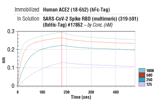 Human ACE2 (18-652) Recombinant Protein (hFc-Tag): Image 1