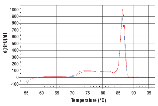 Chromatin Immunoprecipitation Image 1: SimpleChIP<sup>®</sup> Human TAP1 Promoter Primers