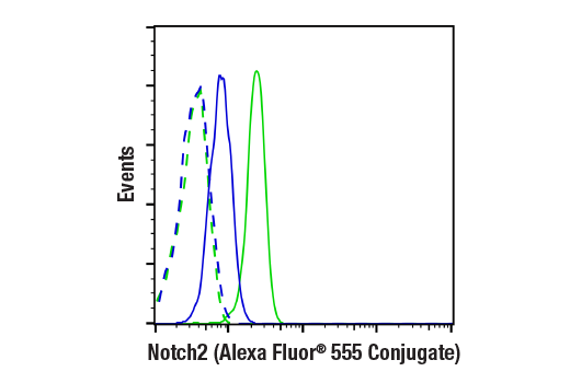 Flow Cytometry Image 1: Notch2 (D76A6) XP<sup>®</sup> Rabbit mAb (Alexa Fluor<sup>®</sup> 555 Conjugate)