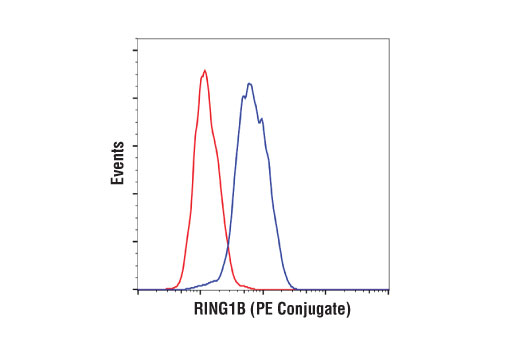 Flow Cytometry Image 1: RING1B (D22F2) XP<sup>®</sup> Rabbit mAb (PE Conjugate)