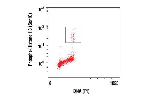 Flow Cytometry Image 1: Phospho-Histone H3 (Ser10) (D2C8) XP<sup>®</sup> Rabbit mAb