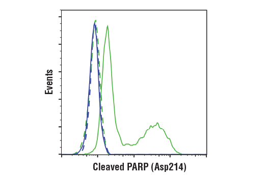 undefined Image 60: Tau Mouse Model Neuronal Viability IF Antibody Sampler Kit