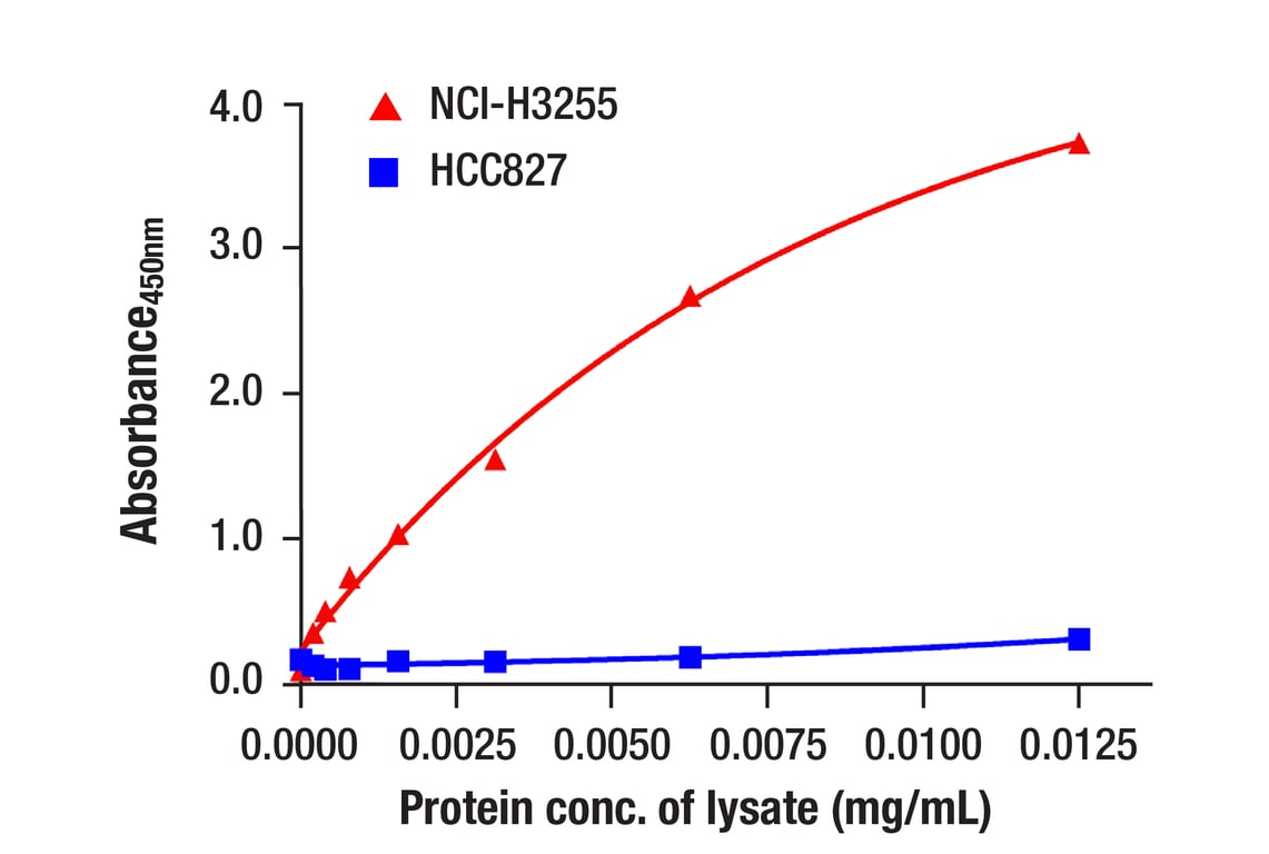 ELISA Image 1: EGF Receptor (L858R Mutant Specific) (43B2) Rabbit mAb (BSA and Azide Free)