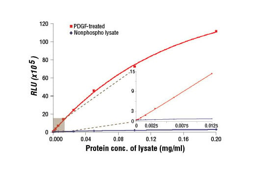 ELISA Image 1: PathScan<sup>®</sup> Phospho-S6 Ribosomal Protein (Ser235/236) Chemiluminescent Sandwich ELISA Kit