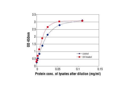 ELISA Image 2: PathScan<sup>®</sup> Total p53 Sandwich ELISA Kit