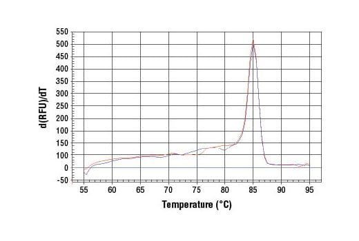 Chromatin Immunoprecipitation Image 1: SimpleChIP<sup>®</sup> Mouse ATF-3 Intron 1 Primers