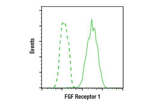 Flow Cytometry Image 1: FGF Receptor 1 (D8E4) XP<sup>®</sup> Rabbit mAb