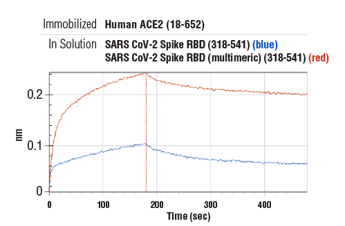 undefined Image 2: SARS-CoV-2 Spike RBD (multimeric) (319-591) Recombinant Protein (8xHis-Tag)