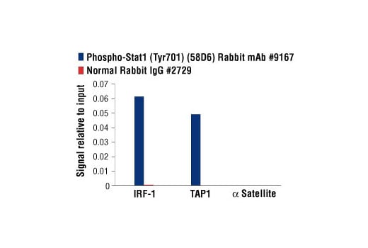 undefined Image 73: Human Reactive M1 vs M2 Macrophage IHC Antibody Sampler Kit