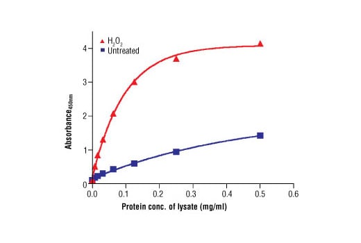 ELISA Image 2: PathScan<sup>®</sup> Phospho-Lck (Tyr505) Sandwich ELISA Kit