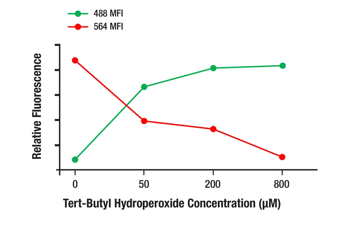 Immunofluorescence Image 4: BODIPY 581/591 C11 (Lipid Peroxidation Sensor)