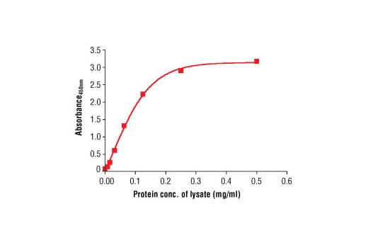 undefined Image 1: PathScan<sup>®</sup> Total α-Tubulin Sandwich ELISA Antibody Pair