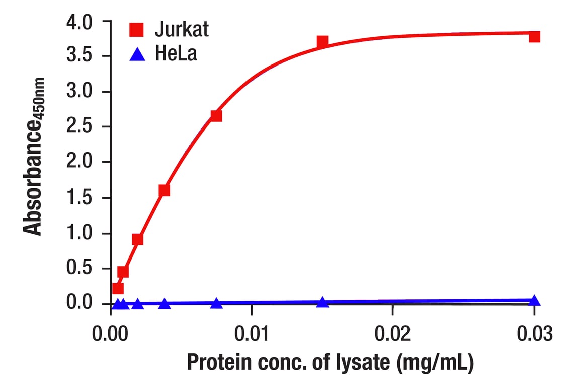 ELISA Image 1: Phospho-Rb (Ser807/811) Matched Antibody Pair
