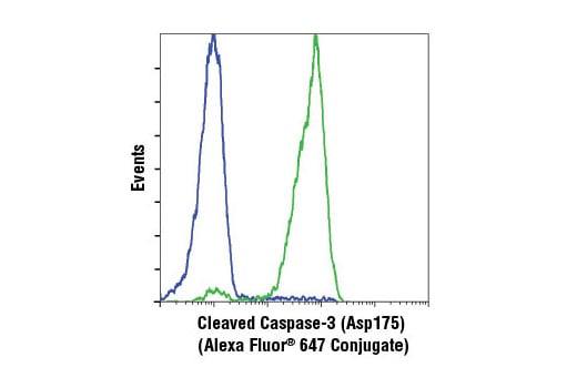 Flow Cytometry Image 1: Cleaved Caspase-3 (Asp175) (D3E9) Rabbit mAb (Alexa Fluor<sup>®</sup> 647 Conjugate)