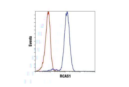 undefined Image 27: Organelle Localization IF Antibody Sampler Kit
