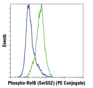 Flow Cytometry Image 1: Phospho-RelB (Ser552) (D41B9) XP<sup>®</sup> Rabbit mAb (PE Conjugate)