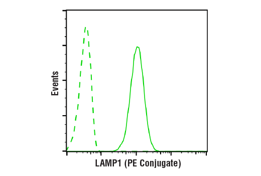 Flow Cytometry Image 1: LAMP1 (D2D11) XP<sup>®</sup> Rabbit mAb (PE Conjugate)