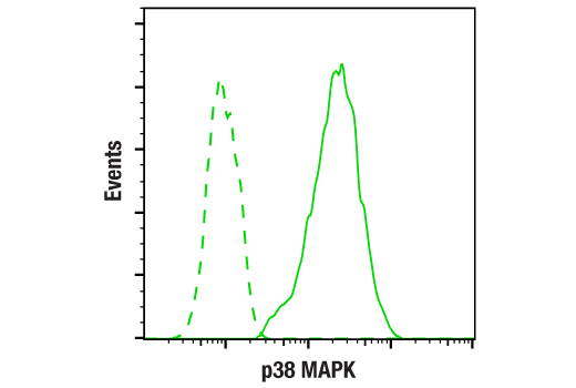 undefined Image 12: PhosphoPlus<sup>®</sup> p38 MAPK (Thr180/Tyr182) Antibody Duet