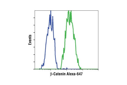 Flow Cytometry Image 1: β-Catenin (L54E2) Mouse mAb (Alexa Fluor<sup>®</sup> 647 Conjugate)