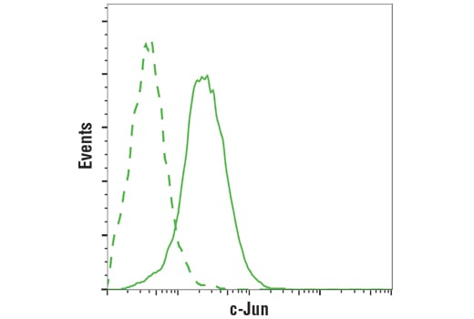 undefined Image 19: PhosphoPlus<sup>®</sup> c-Jun (Ser73) Antibody Duet