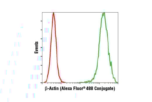 Flow Cytometry Image 1: β-Actin (13E5) Rabbit mAb (Alexa Fluor<sup>®</sup> 488 Conjugate)