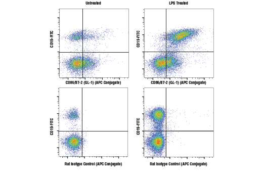Flow Cytometry Image 1: CD86/B7-2 (GL-1) Rat mAb (APC Conjugate)