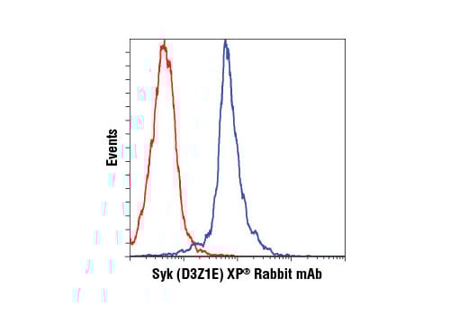undefined Image 37: B Cell Signaling Antibody Sampler Kit II
