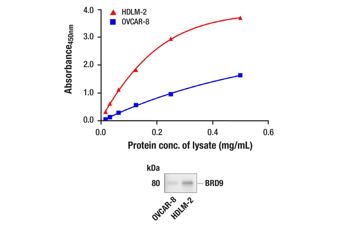 ELISA Image 1: PathScan<sup>®</sup> RP BRD9 Sandwich ELISA Kit