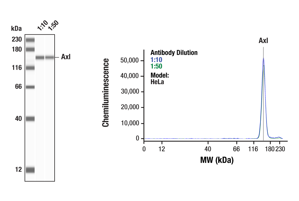 undefined Image 67: Microglia Cross Module Antibody Sampler Kit
