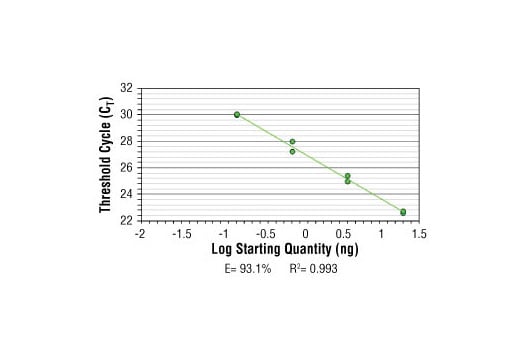 Chromatin Immunoprecipitation Image 1: SimpleChIP<sup>®</sup> Human MyoD1 Exon 1 Primers