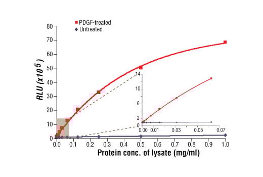 ELISA Image 1: PathScan<sup>®</sup> Phospho-Akt1 (Ser473) Chemiluminescent Sandwich ELISA Kit