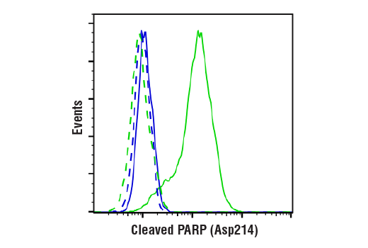 undefined Image 26: Human Reactive Cell Death and Autophagy Antibody Sampler Kit