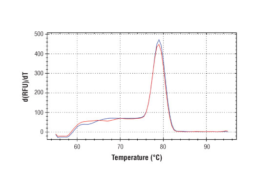 Chromatin Immunoprecipitation Image 1: SimpleChIP<sup>®</sup> Human c-Fos Upstream Primers