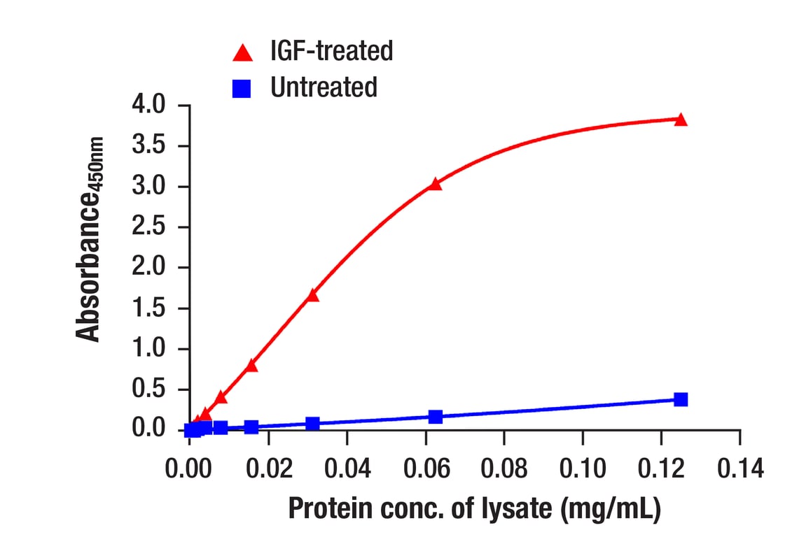 ELISA Image 2: Phospho-Akt (Ser473) (193H12) Rabbit mAb (BSA and Azide Free)