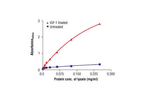 ELISA Image 1: PathScan<sup>®</sup> Phospho-p70 S6 Kinase (Thr389) Sandwich ELISA Antibody Pair