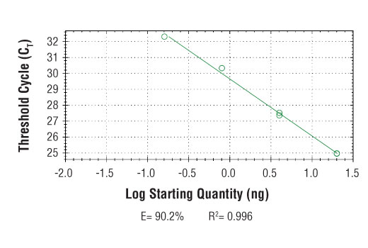 Chromatin Immunoprecipitation Image 1: SimpleChIP<sup>®</sup> Human IKZF3 Promoter Primers