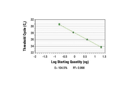 Chromatin Immunoprecipitation Image 2: SimpleChIP<sup>®</sup> Rat CCRN4L Promoter Primers