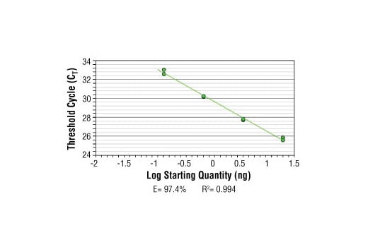 Chromatin Immunoprecipitation Image 1: SimpleChIP<sup>®</sup> Human PRF1 Promoter Primers