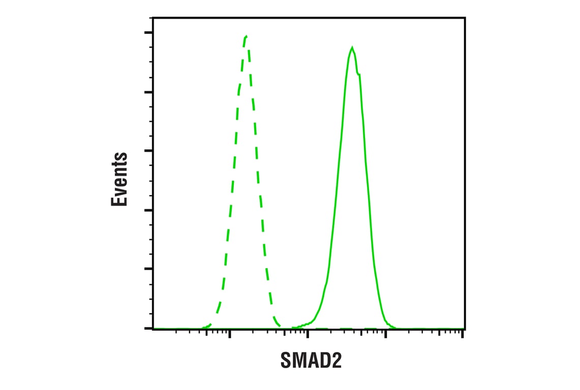 undefined Image 9: PhosphoPlus<sup>®</sup> SMAD2 (Ser465/467) Antibody Duet