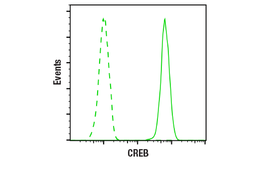 undefined Image 18: PhosphoPlus<sup>®</sup> CREB (Ser133) Antibody Duet