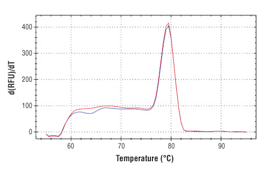 Chromatin Immunoprecipitation Image 1: SimpleChIP<sup>®</sup> Mouse MDM2 Exon 3 Primers