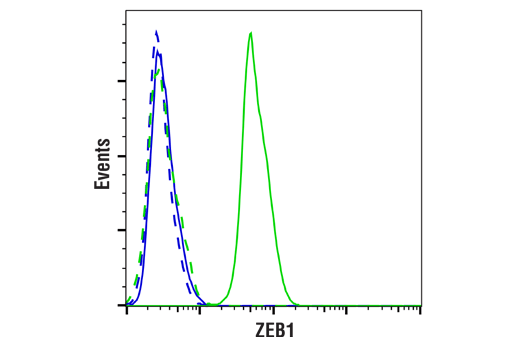 undefined Image 69: Epithelial-Mesenchymal Transition (EMT) IF Antibody Sampler Kit