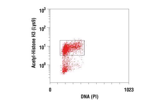 Flow Cytometry Image 1: Acetyl-Histone H3 (Lys9) (C5B11) Rabbit mAb (BSA and Azide Free)