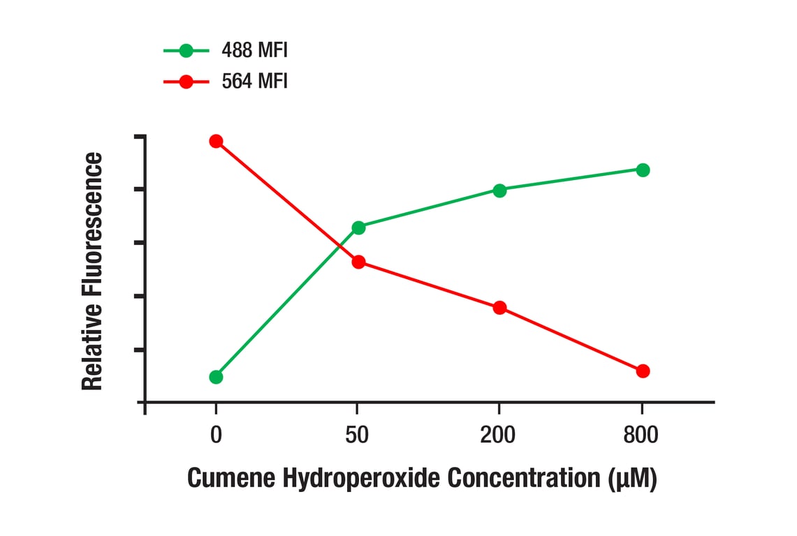 Immunofluorescence Image 3: BODIPY 581/591 C11 (Lipid Peroxidation Sensor)