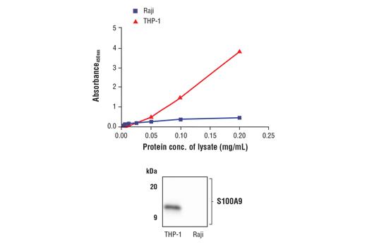 ELISA Image 1: FastScan<sup>™</sup> Total S100A9 ELISA Kit