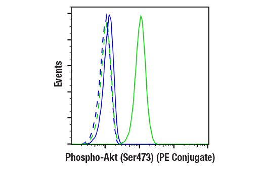 Flow cytometric analysis of Jurkat cells, untreated (green) or treated with LY294002 #9901 (50 µM), Wortmannin #9951 (1 µM), and U0126 #9903 (10 μM; 2 hr; blue) using Phospho-Akt (Ser473) (D9E) XP® Rabbit mAb (PE Conjugate) (solid lines) or concentration-matched Rabbit (DA1E) mAb IgG XP® Isotype Control (PE Conjugate) #5742 (dashed lines).